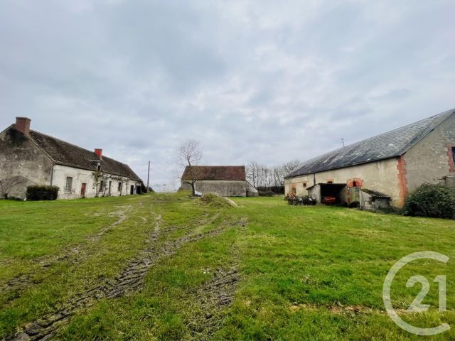 maison - CHATEAUNEUF SUR LOIRE - 45